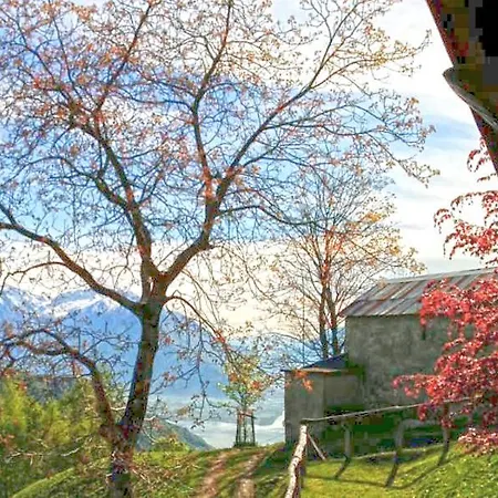 Rustico Pregallo