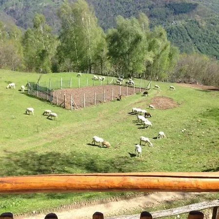 Ferienhaus Rustico Pregallo